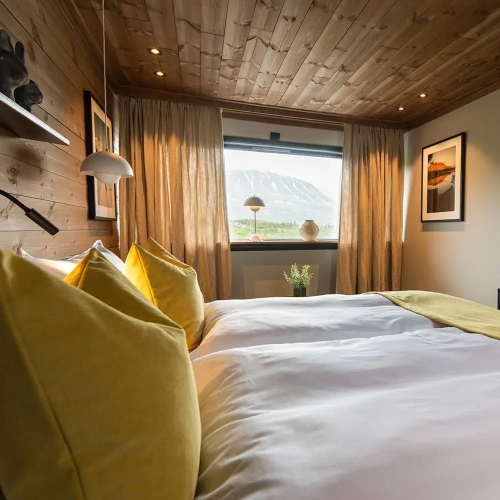 Standard Double room with mountain view