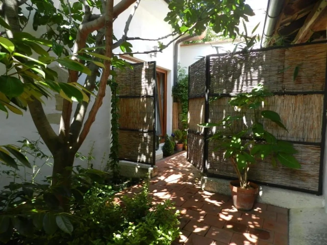 1 Bedroom Suite