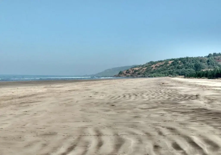 Whistling Waves Beach Resort
