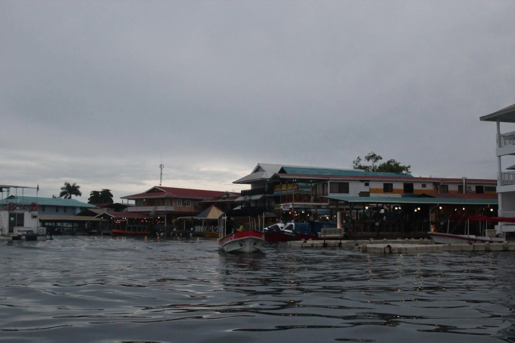 Coconut Hostel