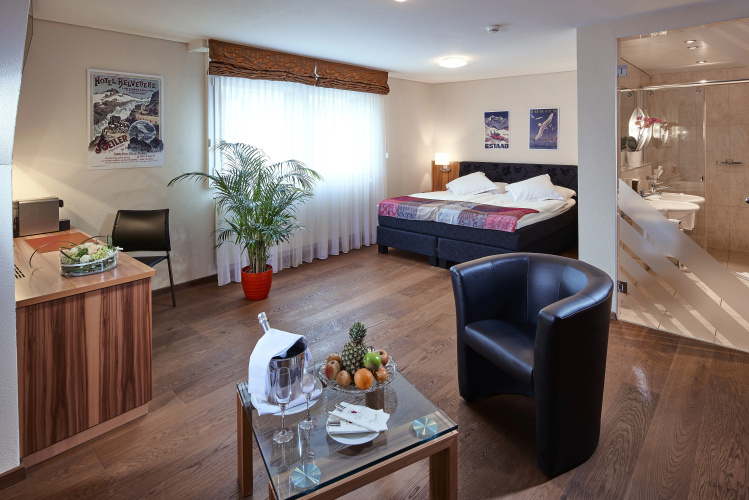 Hotel Ambassador Brig