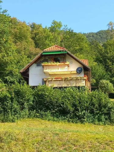 Apartment With A View