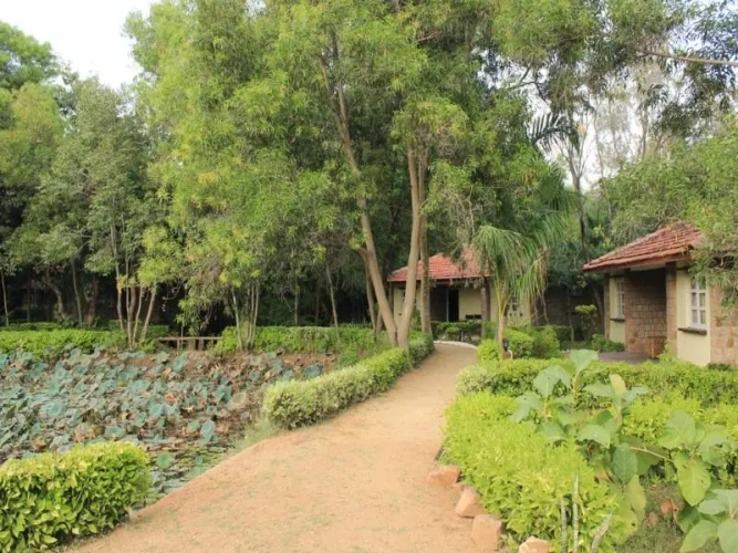 Deluxe Double Cottage with lake view