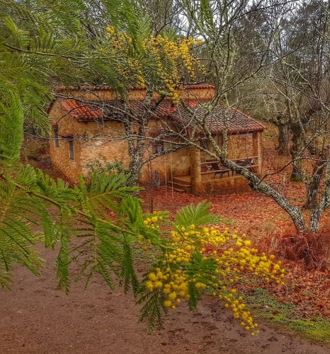 Cottage with courtyard view
