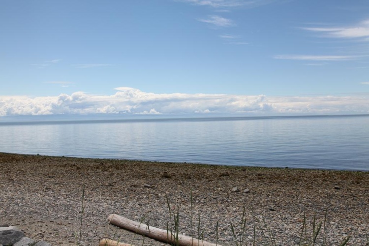 Royal Reach Motel & Marina photo 16