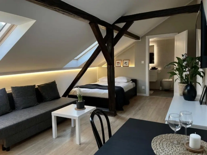 Superior Apartment