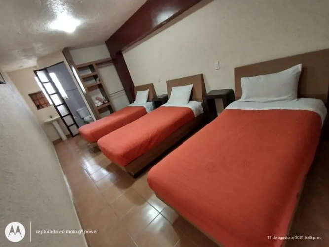 Standard Triple room