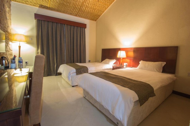 Standard Double room with balcony and with mountain view