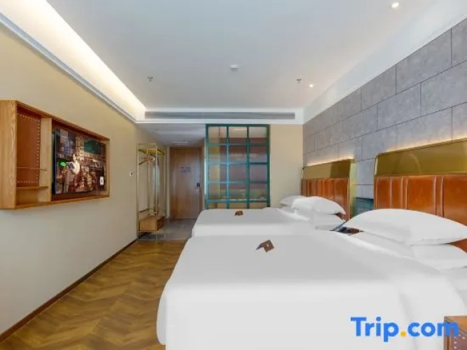 Standard Single Suite