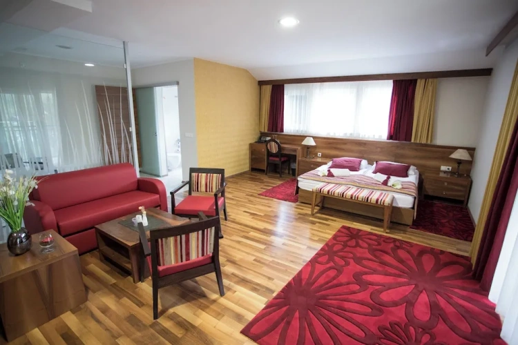 Deluxe Double room with balcony and with mountain view