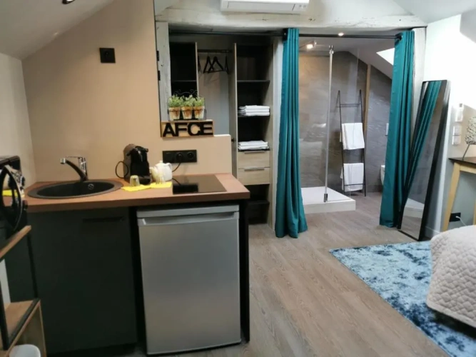 Deluxe Apartment