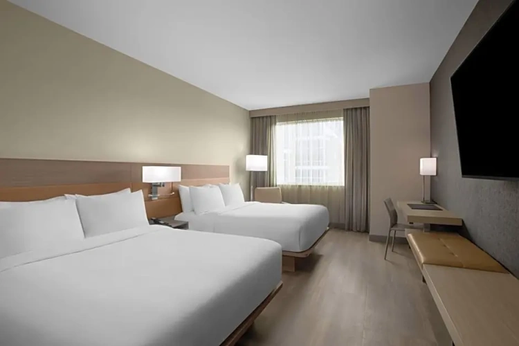 1 Bedroom Suite
