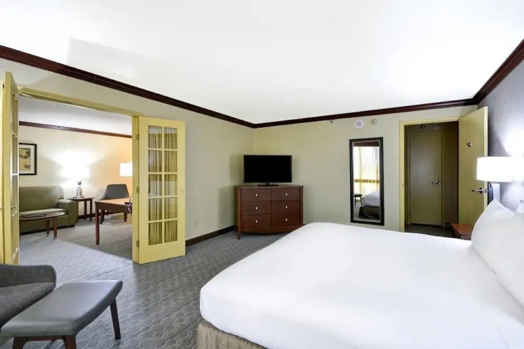 Deluxe Double Suite