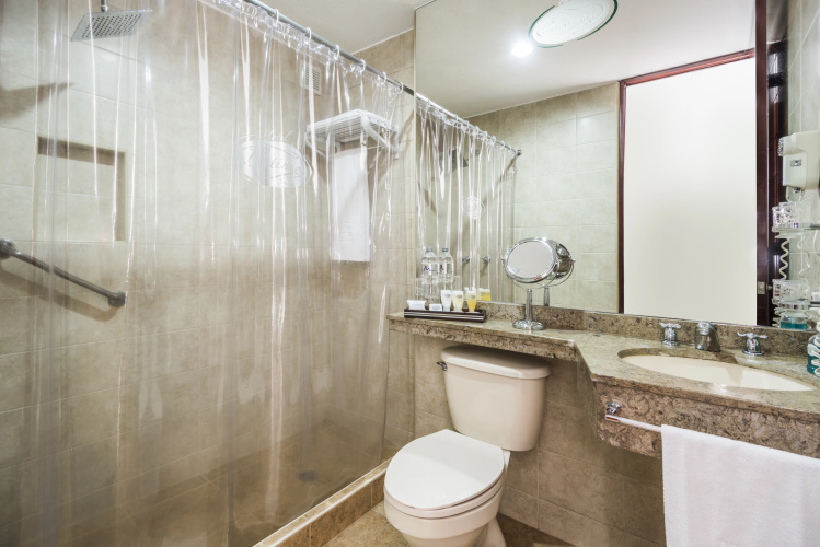 Hotel Platinum Suite