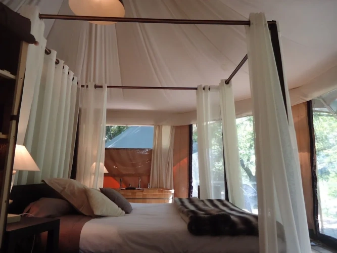 Tent