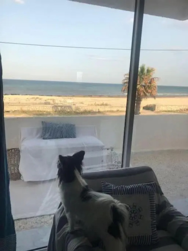 Etage de Maison en face de la mer Korba Plage