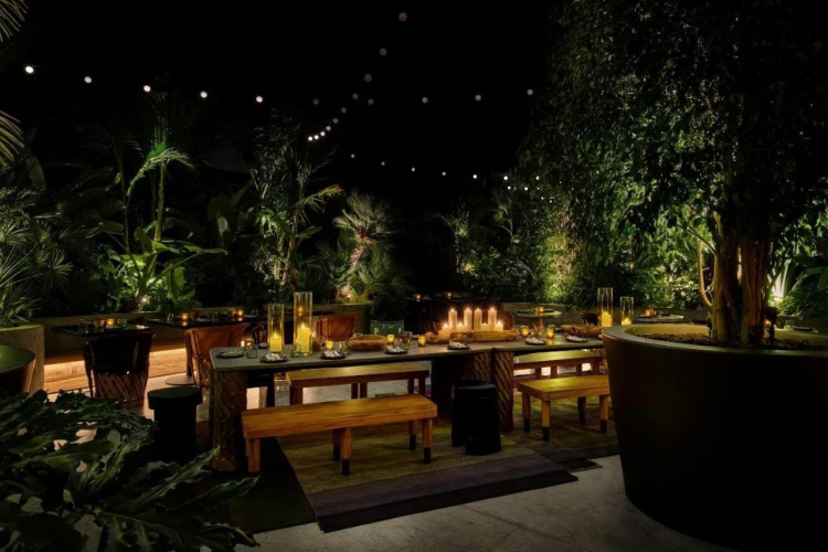 HOLLYWOOD VOLUME, a Tribute Portfolio Hotel photo 17