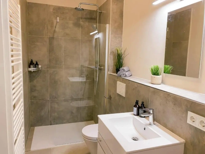1 Bedroom Apartment