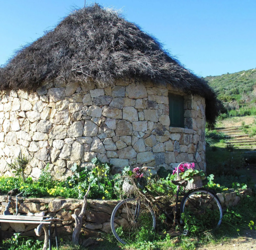Essenza Sardegna