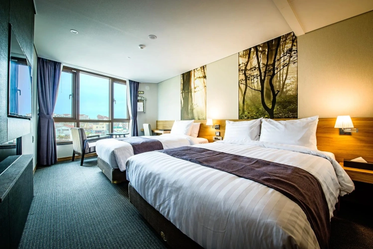 Deluxe Twin room City