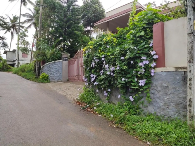 Deluxe Double room with balcony and with view