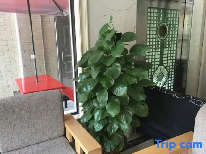 Xianggeli Business Inn