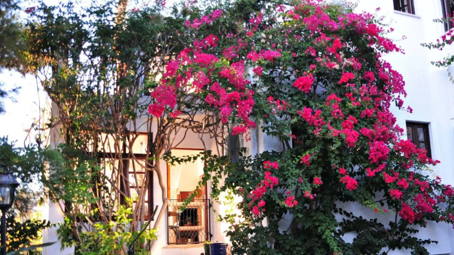 Otel görseli