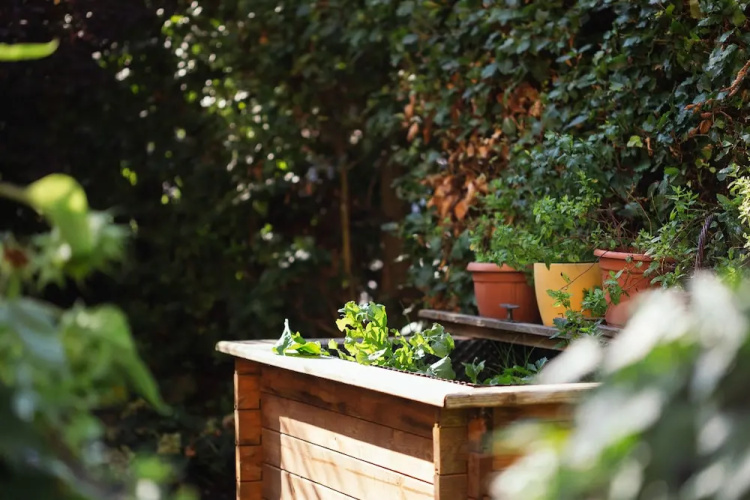 Viktorias Home