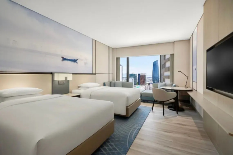 Deluxe Twin room with city view