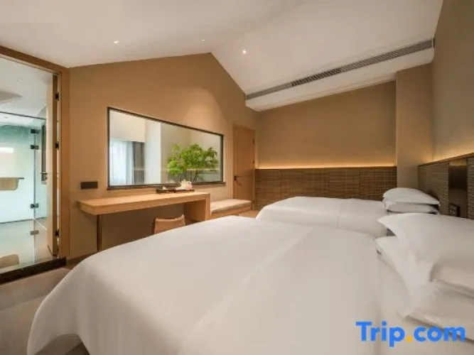 Duplex Suite