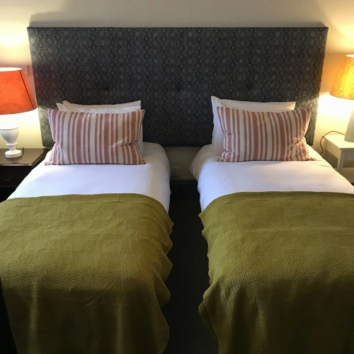 Classic Twin room