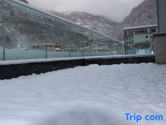 Walnut Tree Soup Spring Homestay