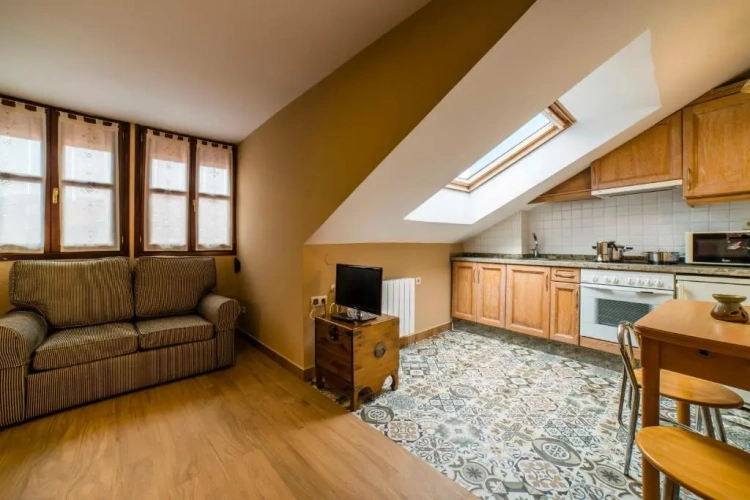 1 Bedroom Apartment