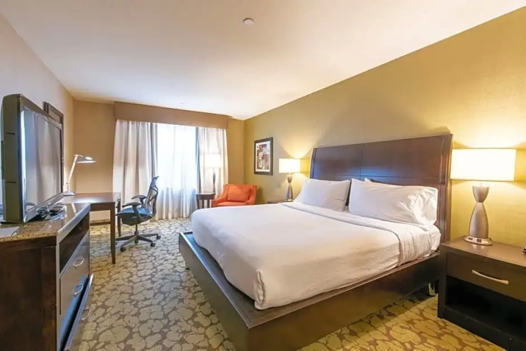 Standard Junior Suite