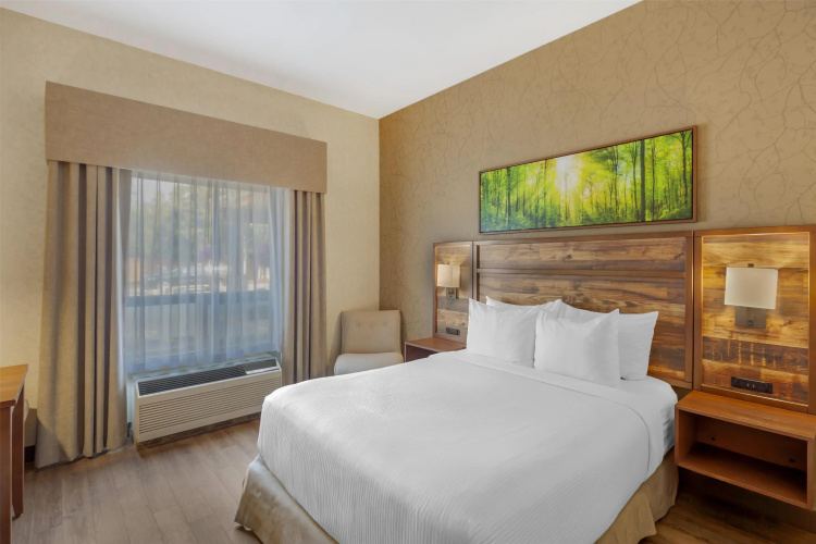 Best Western Plus Valemount Inn & Suites