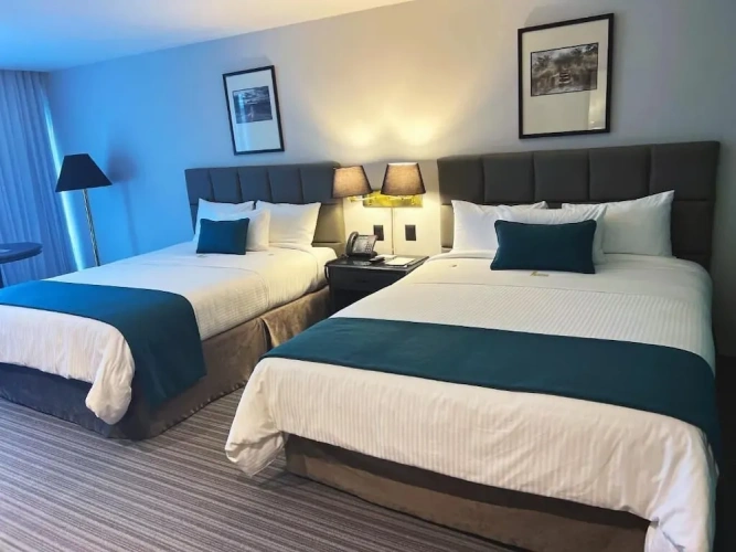Deluxe Double room