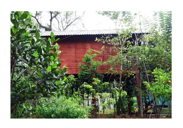 Sun and Green Eco Lodge