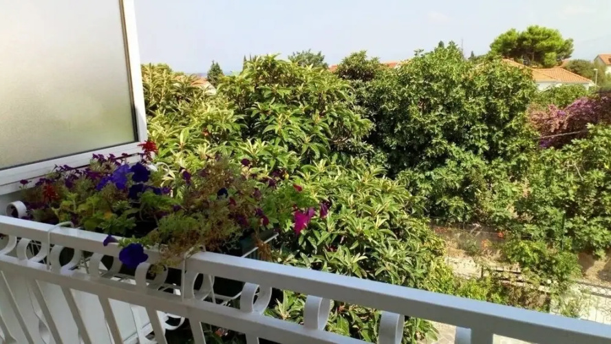 Sreca - 150m From the Beach - A1 - Zeleni