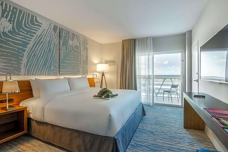 Standard Double room with balcony and oceanfront