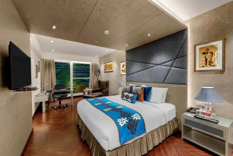 Deluxe Double room with balcony and with view