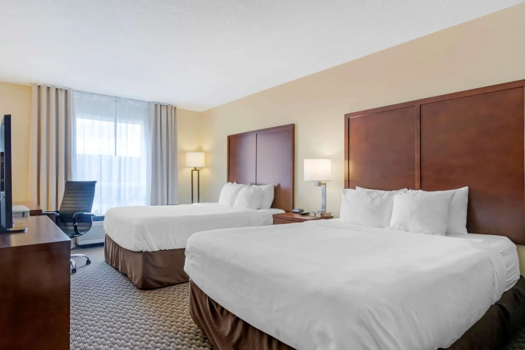 Standard Quadruple room