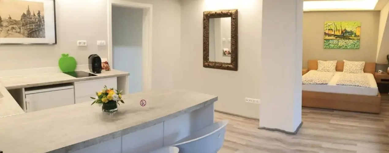 BudaSmile Appartment @ Buda Castle - FREE parking