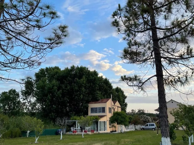 1 Bedroom Basement Cottage