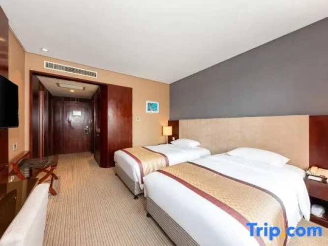 Triple Family Suite