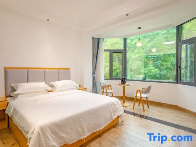 Standard Double room with street view