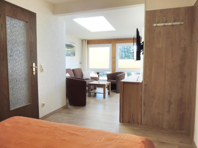 Standard Double room with pool view