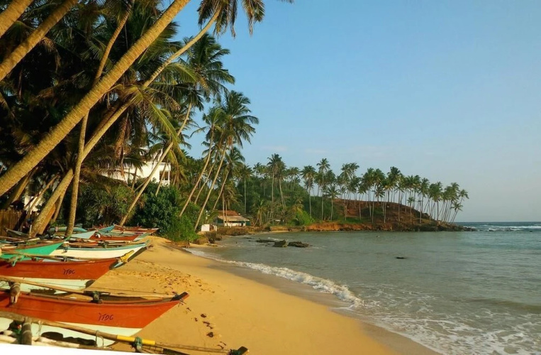 W&D Beach Resort