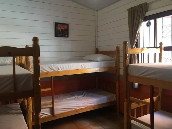 Bed in Dorm