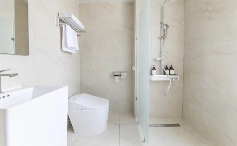 Deluxe Double room with city view