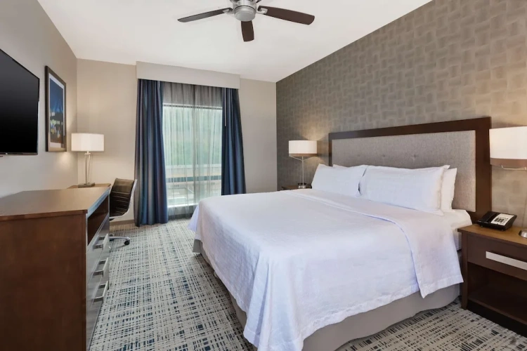 1 Bedroom Suite